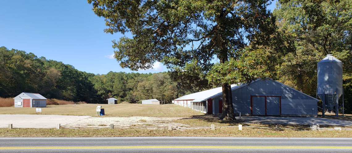 delaware agro vernacular